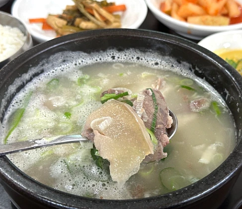 괴산군 갱치식당 대표