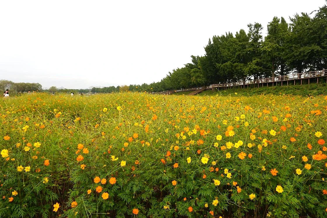 2026년 5월 축제. 아산 현충사, 5월의 밤 ‘달빛야행’으로 물든다… 3일간의 야간 특별 개방 후기 사진 4