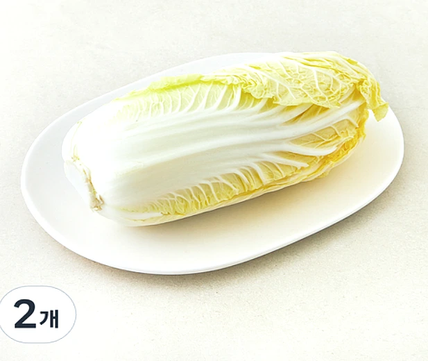 전남 진도 알배기